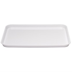 PLAT PLASTIQUE ALTUGLAS 83 X 27 X 1.7 cm