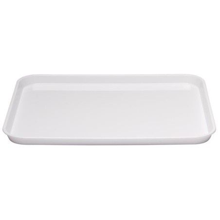 PLAT PLASTIQUE ALTUGLAS 76 X 25.5 X 1.7 cm